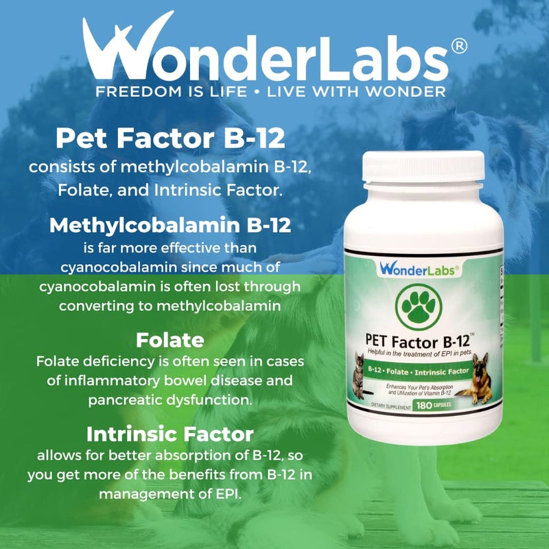 Wonder Laboratories Pet Factor B-12 | Vitamin B-12 in Methylcobalamin Form | Popular in Treatment of EPI in Dogs 180 Capsules - Image 5