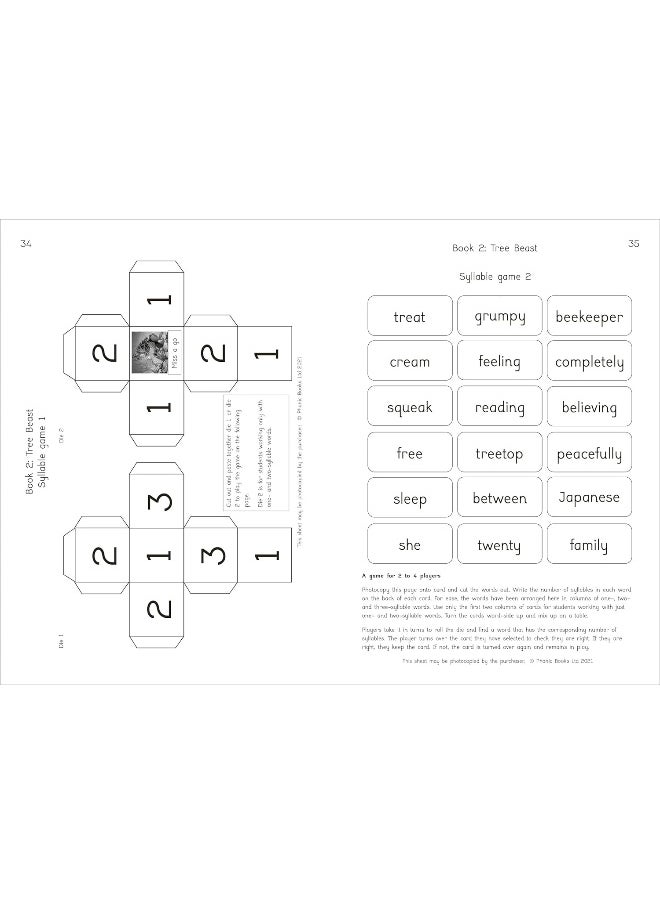 Phonic Books Dragon Eggs Activities: Alternative vowel spellings  - Image 3