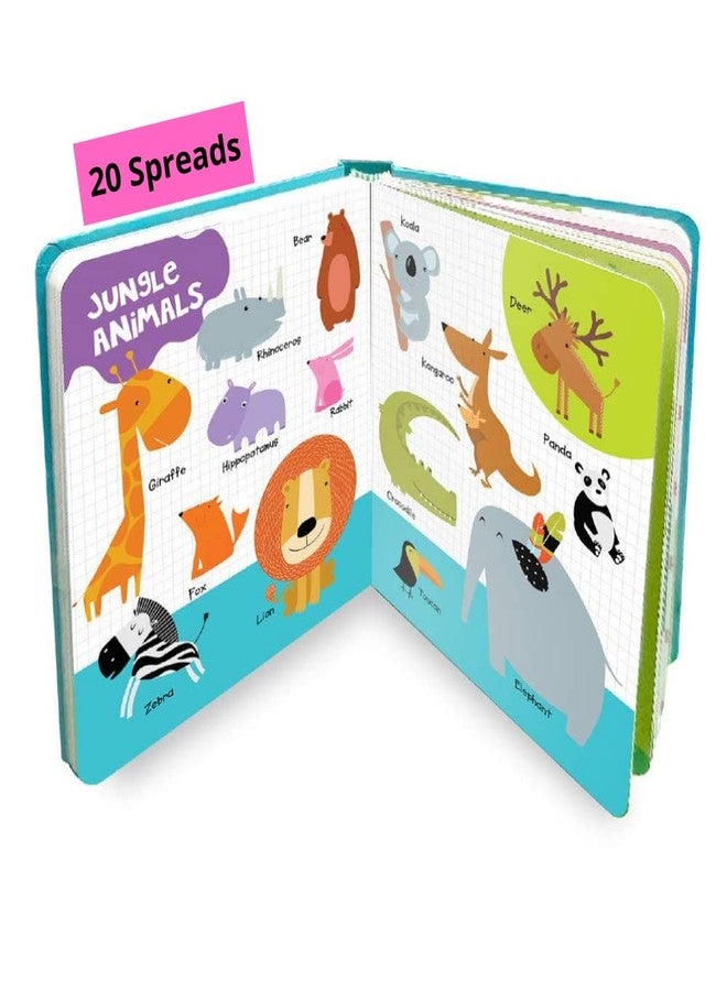BRIJBASI Hello Friend Learn Words Picture Dictionary Book with 20 Colouring Spreads - Animals, Vehicles, Fruits & Vegetables Pictures, 4+ yrs - Image 5