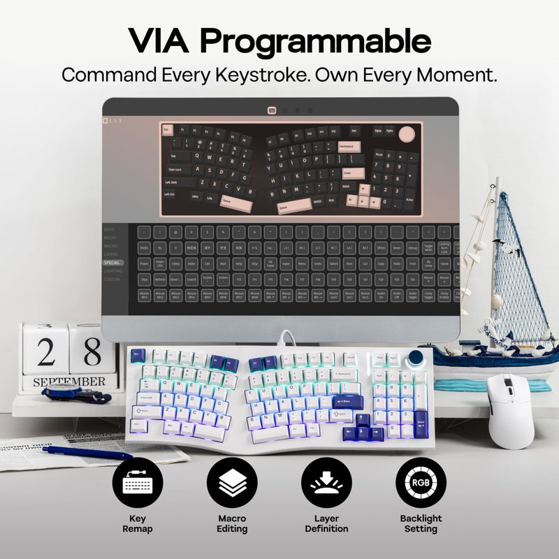 MechLands Feker Alice98 Ergonomic 98 Keys Custom Mechanical Keyboard, VIA Programmable, USB-C Wired Gaming Keyboard, Hot Swappable, 5 Layer Paddings, Control Knob, NKRO, RGB for Win/Mac (White) - Image 5