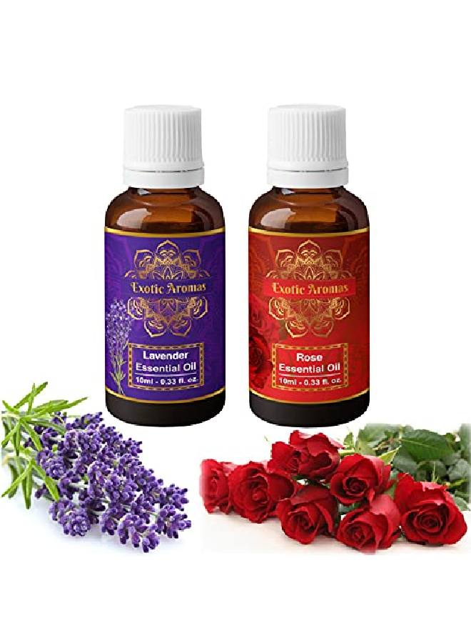 Exotic Aromas Lavender Essential Oil Rose Oil Pack Of 2 - Image 2
