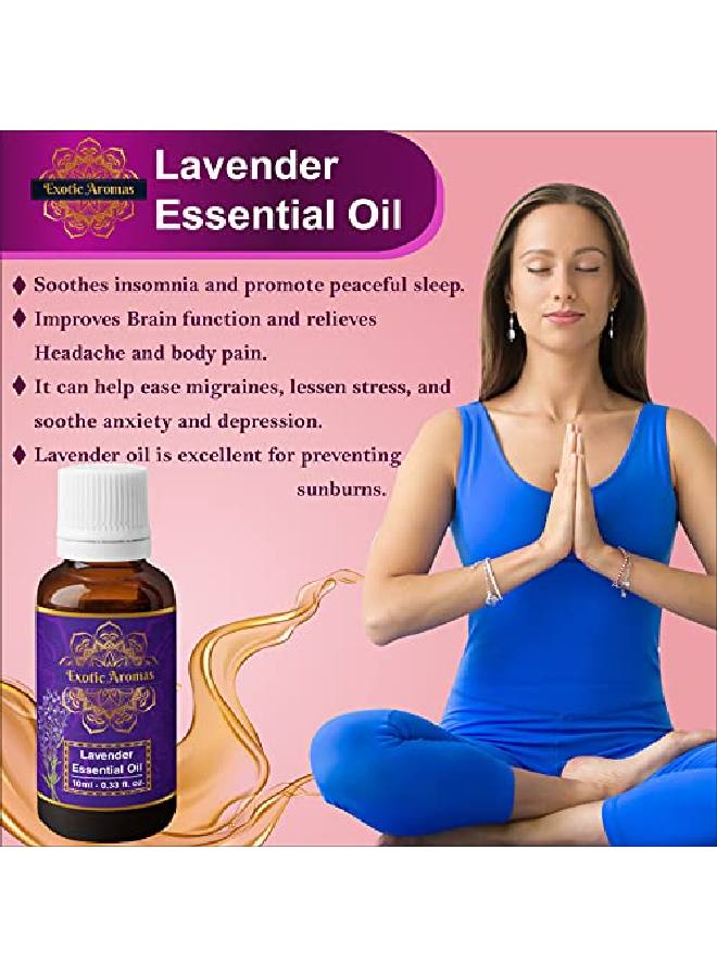 Exotic Aromas Lavender Essential Oil Rose Oil Pack Of 2 - Image 4