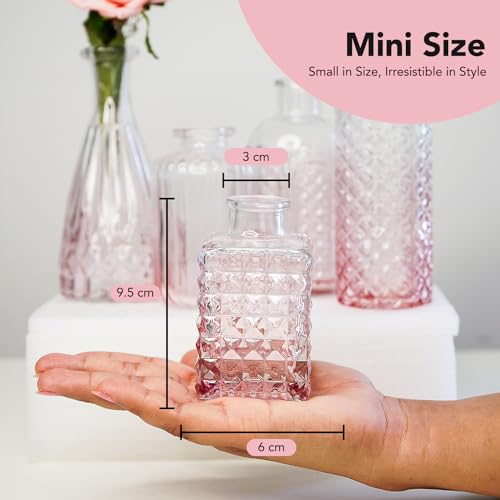 Ekhasa 100% Crystal Clear Glass Bud Vases (Set of 5) | Transparent Glass Vases for Water Plants & Decoration - Image 3