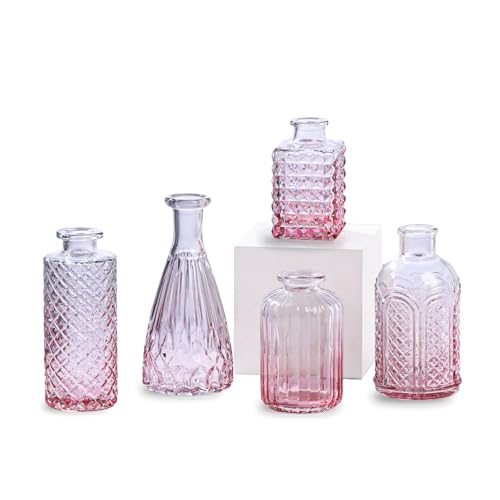 Ekhasa 100% Crystal Clear Glass Bud Vases (Set of 5) | Transparent Glass Vases for Water Plants & Decoration - Image 2