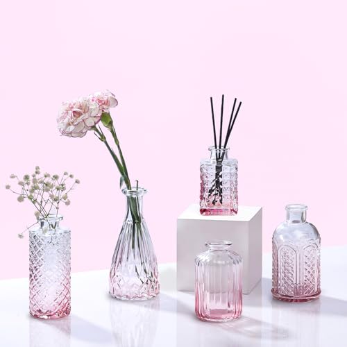 Ekhasa 100% Crystal Clear Glass Bud Vases (Set of 5) | Transparent Glass Vases for Water Plants & Decoration - Image 1