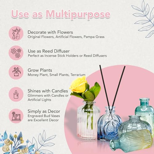 Ekhasa 100% Crystal Clear Glass Bud Vases (Set of 5) | Transparent Glass Vases for Water Plants & Decoration - Image 5