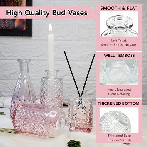 Ekhasa 100% Crystal Clear Glass Bud Vases (Set of 5) | Transparent Glass Vases for Water Plants & Decoration - Image 4