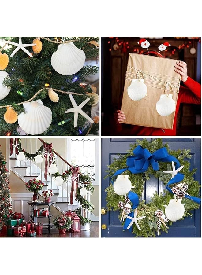 إيروريكس 6 قطع من أصداف البحر الطبيعية البيضاء الكبيرة لتقديم الطعام من صدف البحر الطبيعي من شاطئ البحر لصنع الحرف اليدوية وحفلات الزفاف على الشاطئ 10 11 سم - Image 5