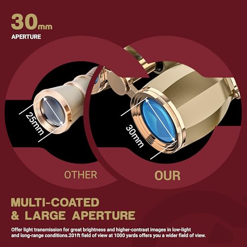 ESSLNB Opera Glasses Binoculars for Women Adults 4X30mm Theater Glasses Compact Binoculars for Theater and Concerts Antique with Case Removable Chain (Gold) - Image 3