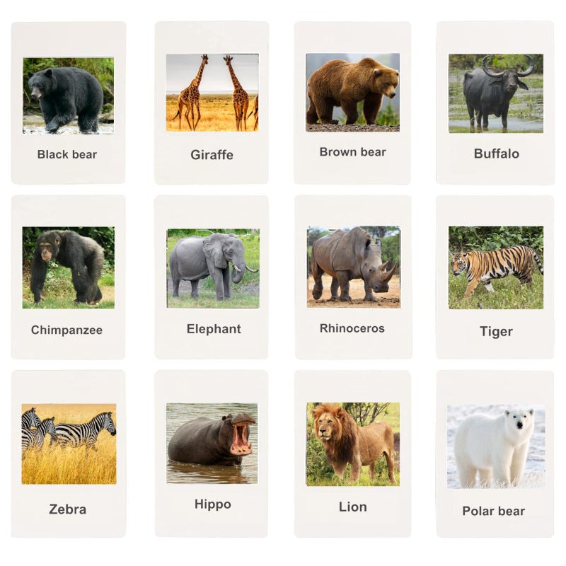 RUSON 12 Safari Animals Figures Toys with 12 Flash Cards  Realistic Mini Jungle Animal Figurines Cake Topper Party Supplies Montessori Animal Matching Game for Toddler Kids - Image 3