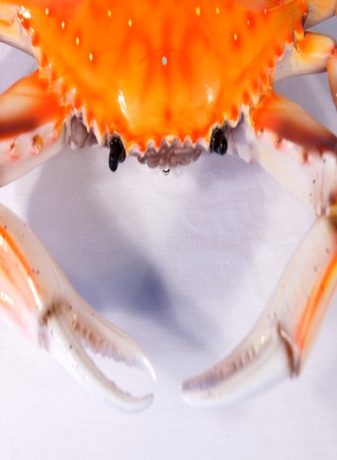 ال اكس لوحة جدارية مزخرفة على شكل سرطان البحر الأحمر والأزرق مرسومة يدويًا من LX، مقاس 10 بوصات - Image 2