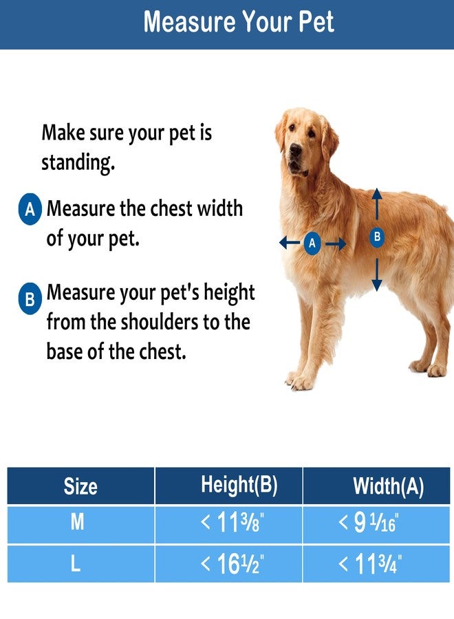 CEESC باب للحيوانات الأليفة من سي إي إس سي، يتحمل وزن يصل إلى 45 رطلاً، مقاوم للعوامل الجوية، مناسب للقطط والكلاب، متين، مزود بلوحة إغلاق سهلة التركيب، مناسب للأبواب الداخلية والخارجية (أسود متوسط) - Image 5