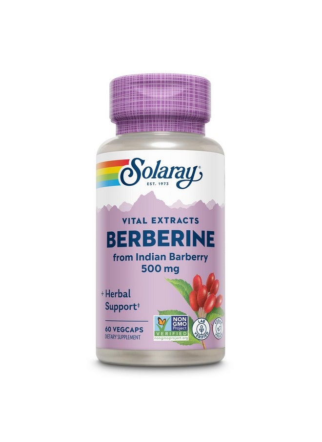 Solaray SOLARAY Berberine 500mg - Berberine Supplement for a Healthy, Active Lifestyle - with Berberine HCl from Indian Barberry - Vegan, Non-GMO, 60-Day Guarantee, Lab Verified - 60 Servings, 60 VegCaps  - Image 1