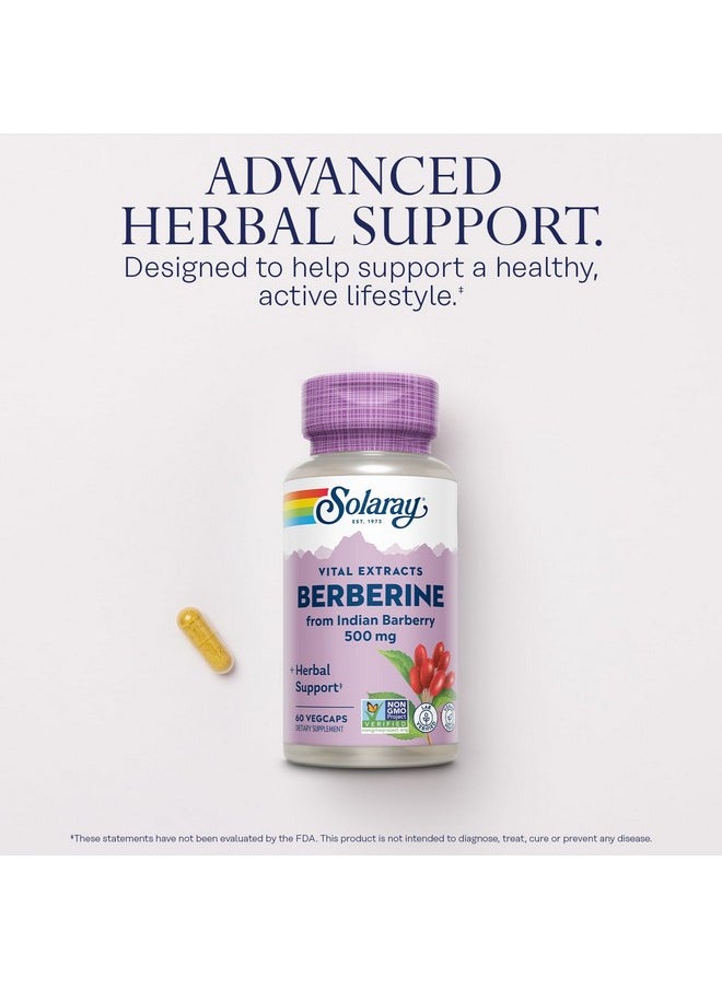 Solaray SOLARAY Berberine 500mg - Berberine Supplement for a Healthy, Active Lifestyle - with Berberine HCl from Indian Barberry - Vegan, Non-GMO, 60-Day Guarantee, Lab Verified - 60 Servings, 60 VegCaps  - Image 3