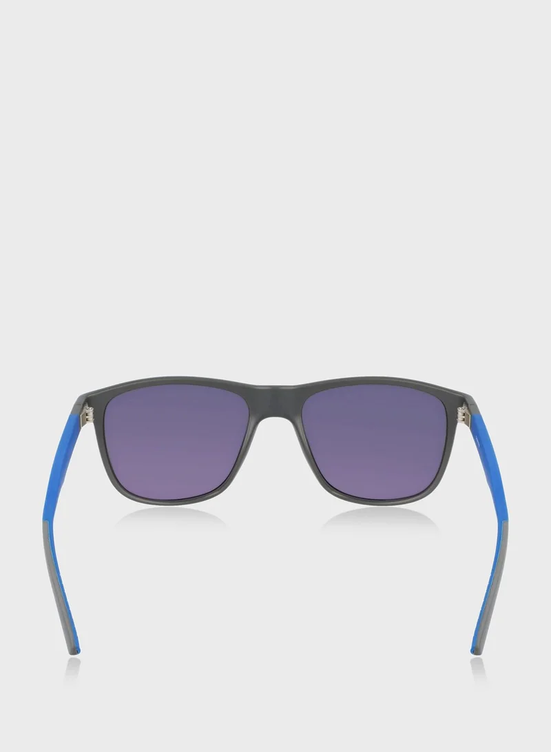 CALVIN KLEIN Wayfarers Sunglasses