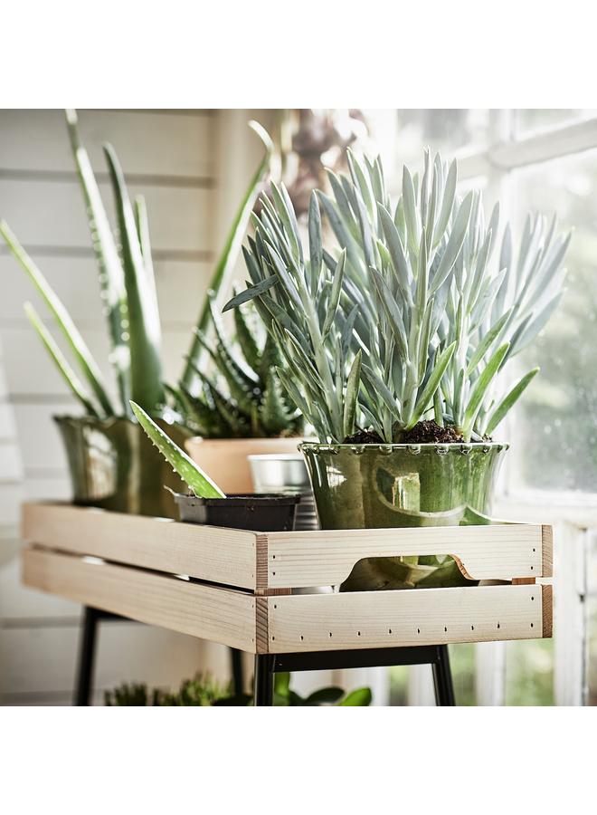 زبون حامل نباتات، صنوبر/أسود، 67 سم - Image 3