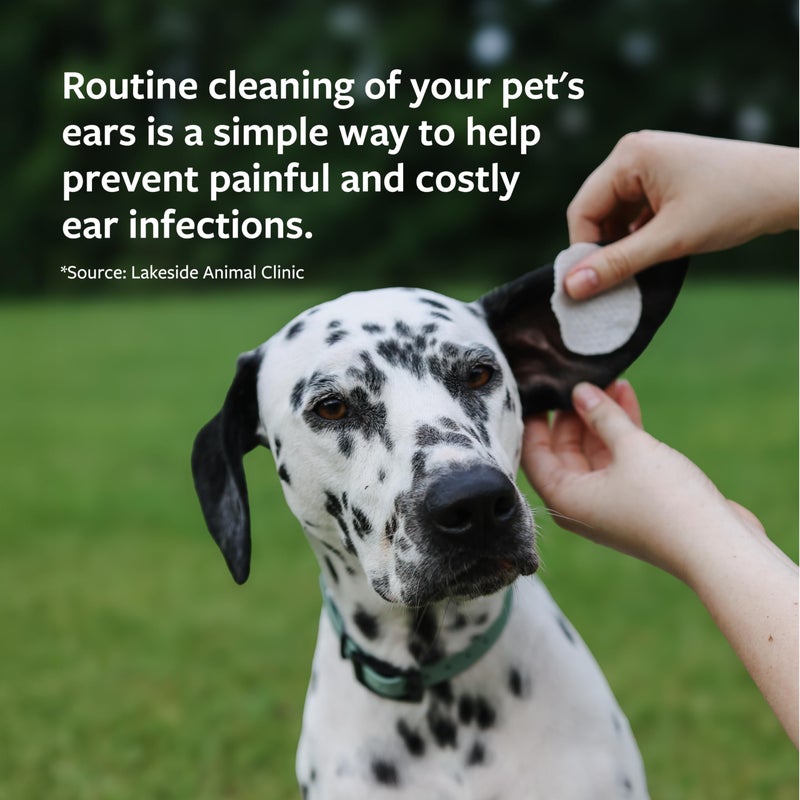 Veterinary Formula علاج الأذن من فيتيريناري فورمولا للعناية السريرية، 4 أونصات - منظف أذن للقطط والكلاب للمساعدة في تخفيف الحكة وتنظيف قناة الأذن من الحطام والتراكمات التي قد تسبب العدوى - Image 4
