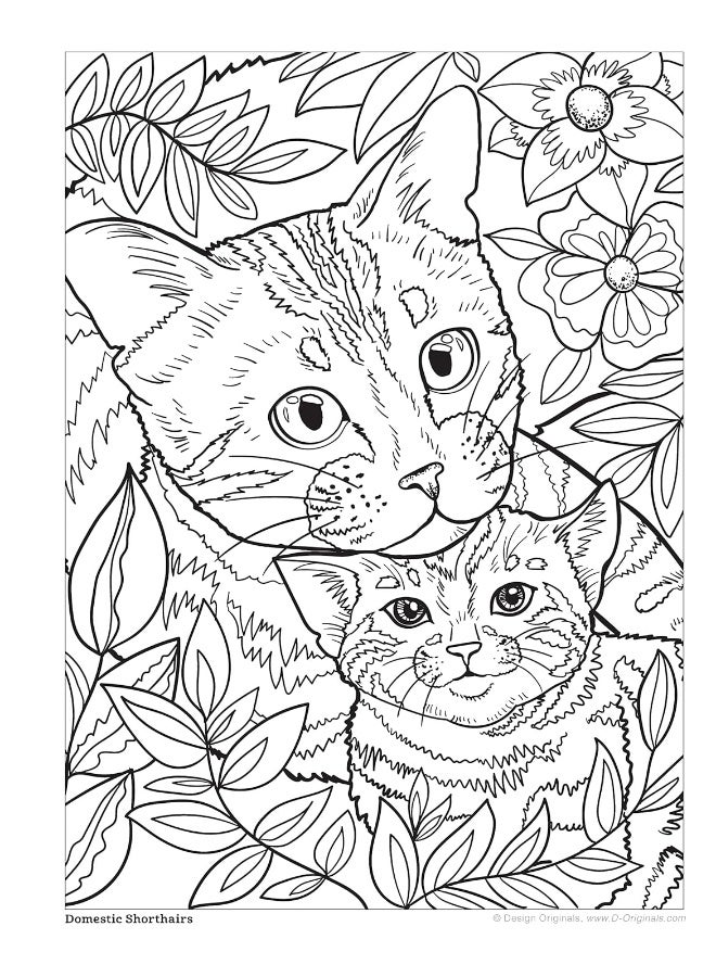 Cats and Kittens Coloring Book: Color and Learn about Tabbies, Persians, Siamese and many more Super Cute Felines! - Image 4