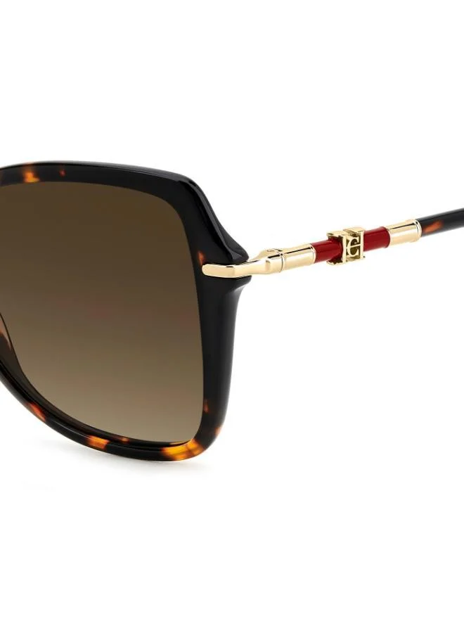 CAROLINA HERRERA Butterfly Sunglasses Frames