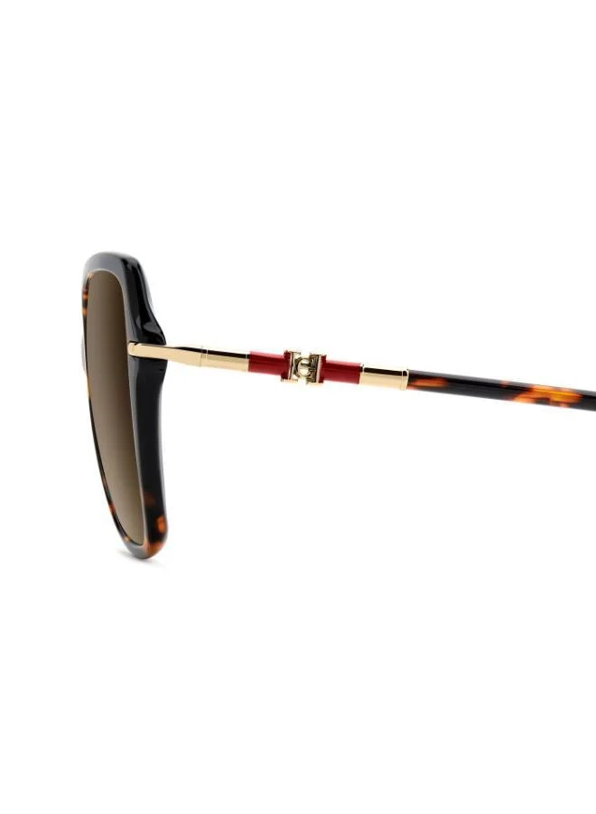 CAROLINA HERRERA Butterfly Sunglasses Frames