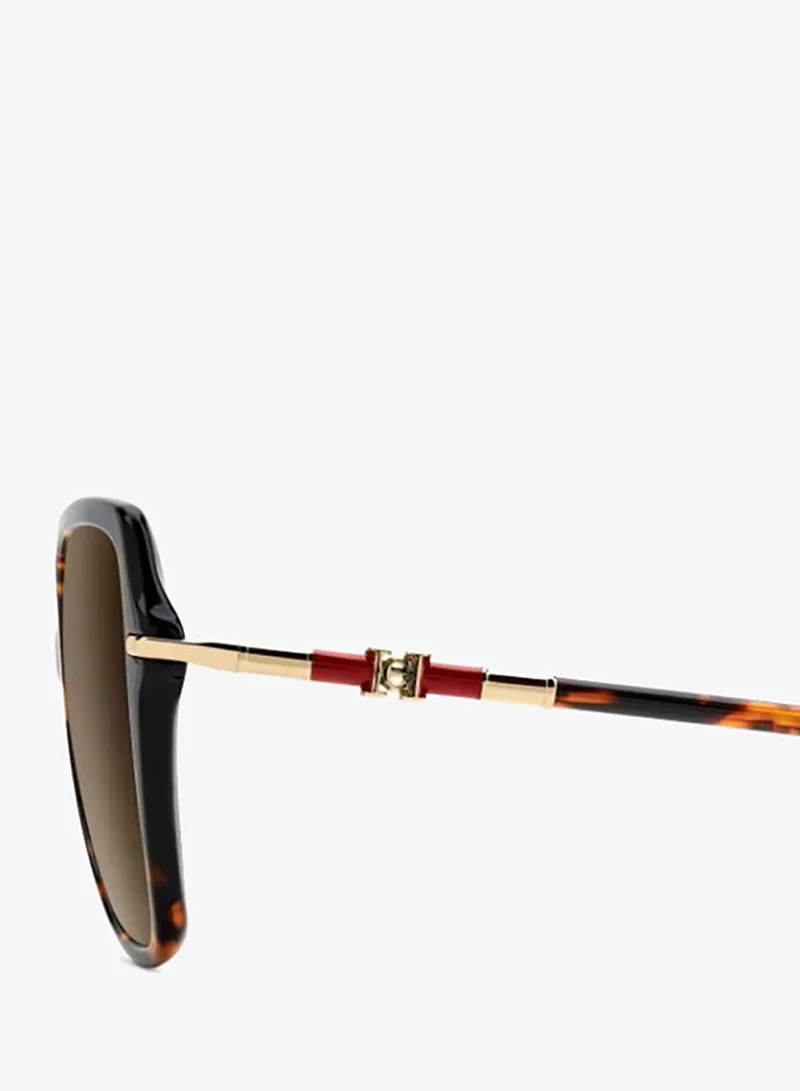 Carolina Herrera  Butterfly Sunglasses Frames  | Best Price UAE