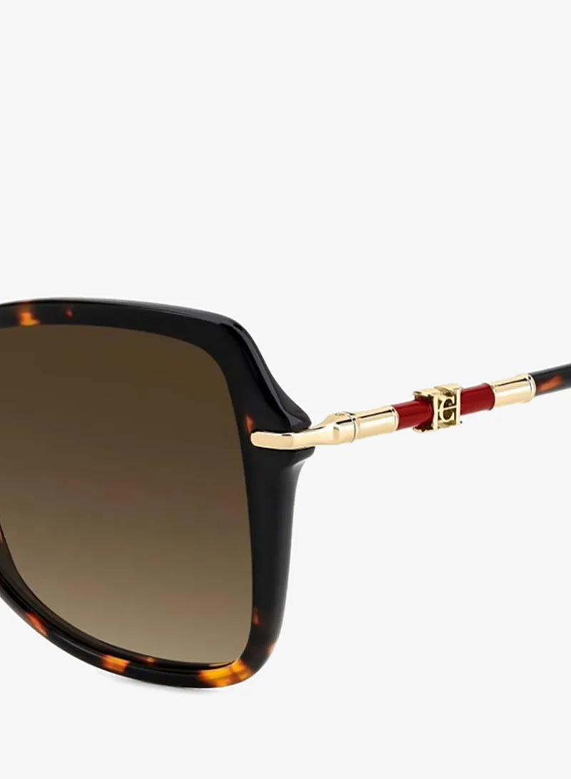 Carolina Herrera  Butterfly Sunglasses Frames  | Best Price UAE
