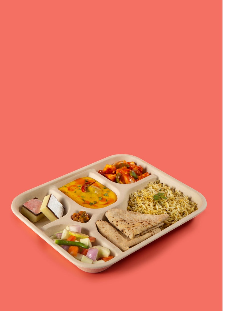 Chuk Chuk 5 Compartment Plates, Pack of 25 Bio-Degradable Sugarcane Bagasse Plates (5CP x 1, R) - Image 3