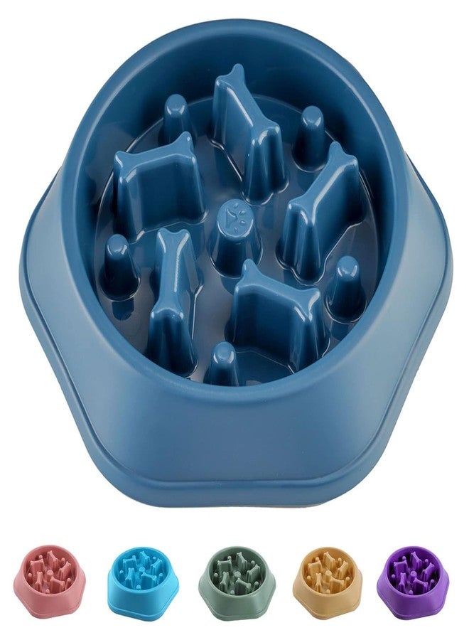 DIFAIEN Slow Pet Feeder Non Slip Bowl Durable Preventing Choking Healthy Design Bowl for Feeding Dogs & Cats(PO1) - Image 1