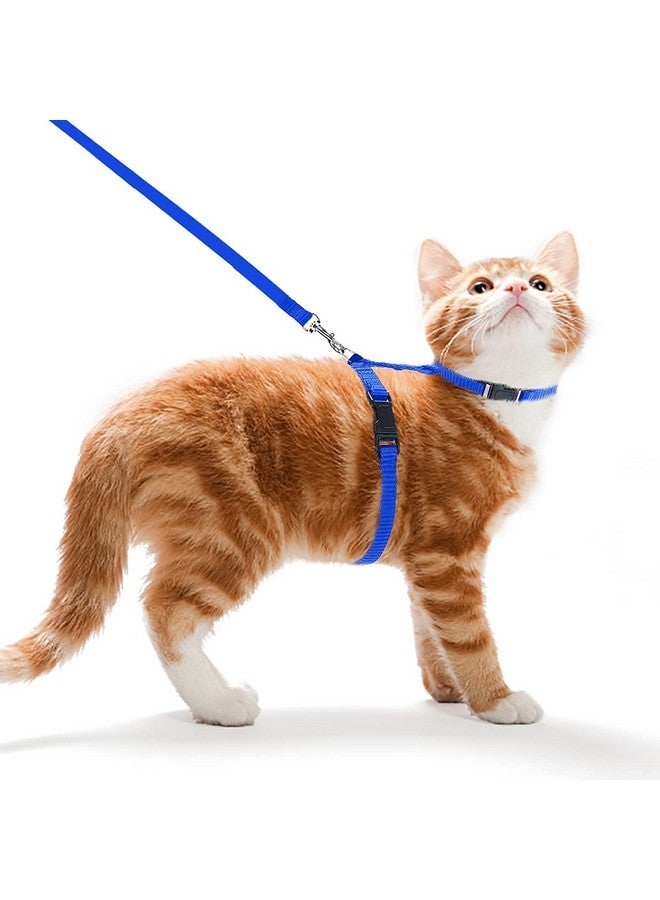 طقم حزام من النايلون للقطط الصغيرة والحيوانات الأليفة الصغيرة | طوق حزام من النايلون | حزام تدريب القطط (عادي، أزرق) - Image 1