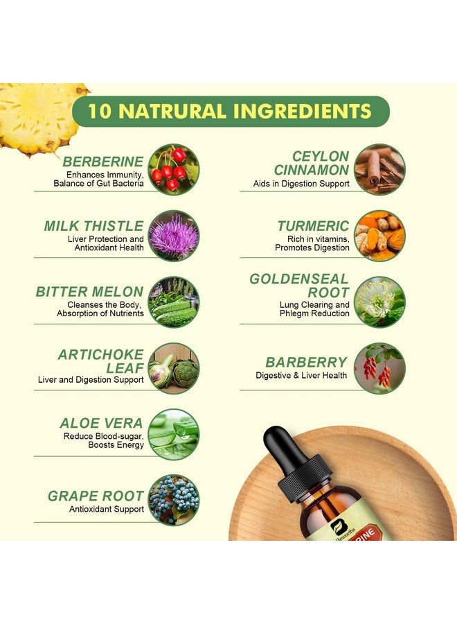 B BEWORTHS Berberine Supplement with Ceylon Cinnamon - Berberine Liquid Drops with Turmeric Curcumin, Ceylon Cinnamon, Bitter Melon, Berberine Phytosome for Digestion System, Immune Health Support -Vegetarian - Image 2