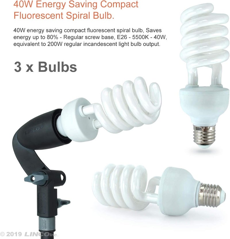 Lincostore Photography Photo Portrait Studio Lighting 600W Umbrella Continuous Lighting Kit for Video Shooting AM126 - Image 3