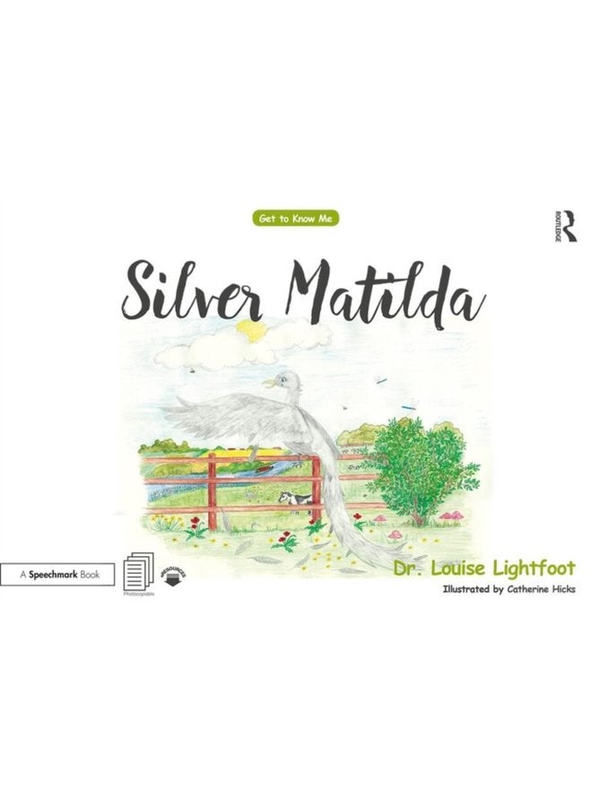 Silver Matilda Get to Know Me Depression - Paperback