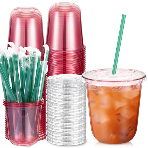 Baderke 25 Set Plastic Cups with Lids and Straws Disposable Plastic Iced Coffee Cup for Cold Beverage Juice Smoothie Crystal for Coffee Shops Party CateringPink12 oz