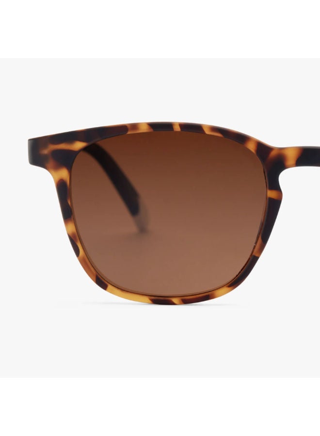 BARNER Full Rim Phantos Sunglasses DT-S - Image 4