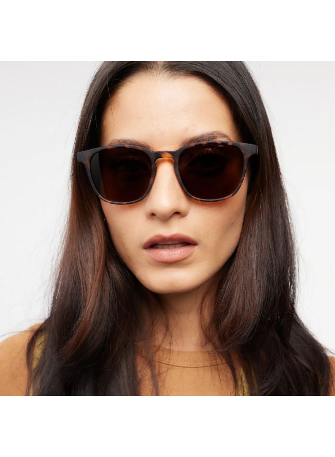BARNER Full Rim Phantos Sunglasses DT-S - Image 2