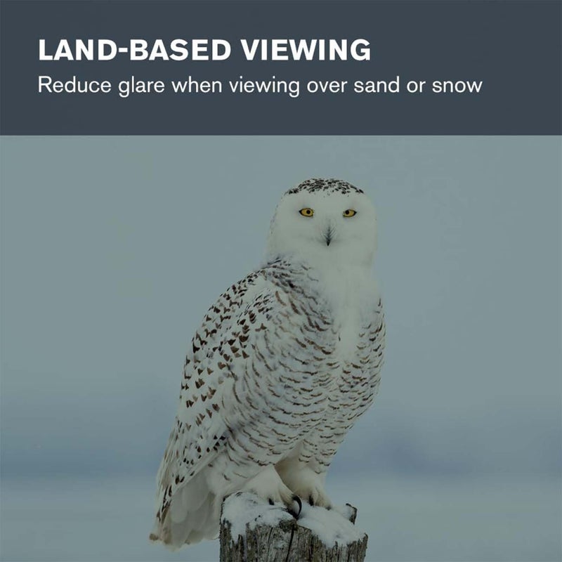 Celestron 1.25 inch Moon Filter - Suitable for Lunar Observation, Extra Bright Planets or Terrestrial Viewing Over Sand or Snow, Black - Image 4