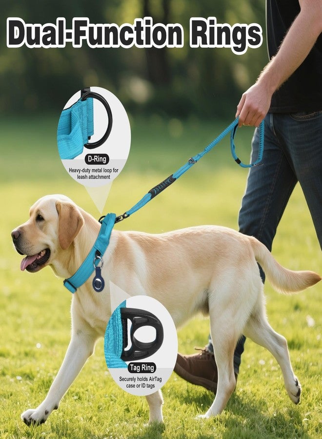 Joytale Heavy Duty Dog Collar with Handle, Adjustable Tactical Military Nylon Collar with Quick Release Metal Buckle for Large Dogs Walking Training, Soft Lining, Dual Rings, AirTag Case, L, Sky Blue - Image 3