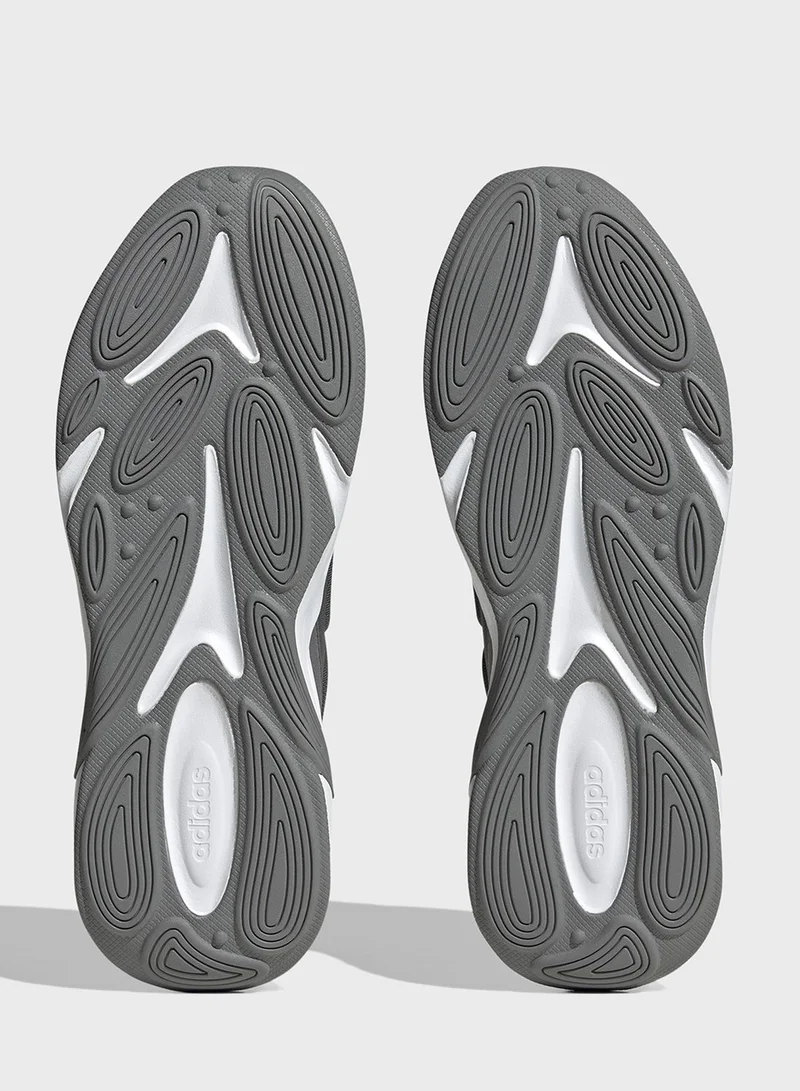 Adidas Ozelle Shoes