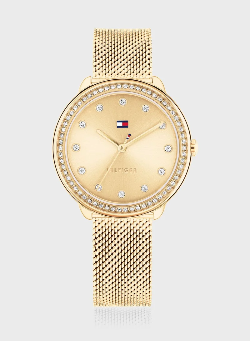 TOMMY HILFIGER Steel Strap Analog Watch