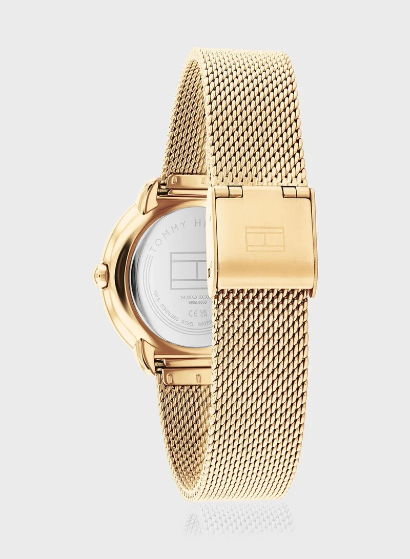 TOMMY HILFIGER Steel Strap Analog Watch