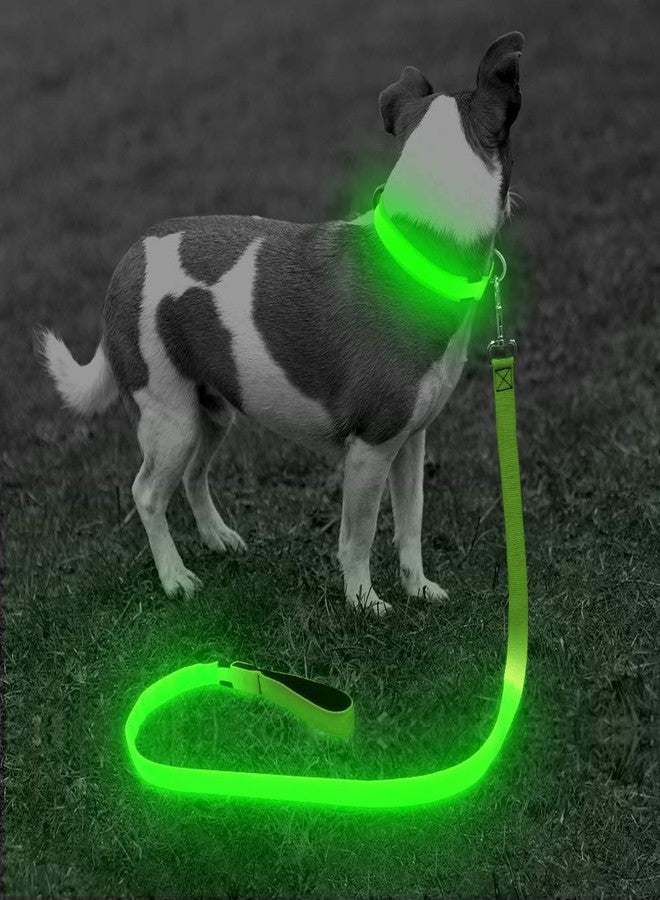 BSEEN Light Up Dog Leash - Nylon LED Dog Leash Rechargeable, Glowing Dog Lead with Padded Handle, Safety Dog Lights for Night Walking (4ft, Neon Green) - Image 1