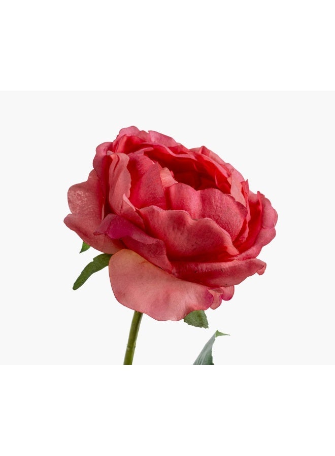 2XL Home Artificial Austin Flower 14X57Cm~Pk  - Image 1