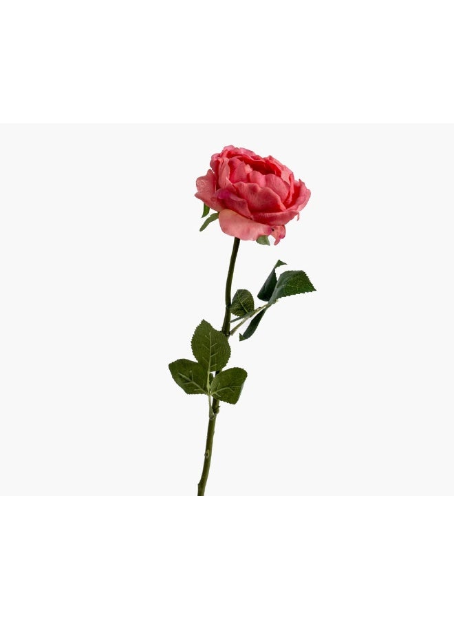 2XL Home Artificial Austin Flower 14X57Cm~Pk  - Image 4