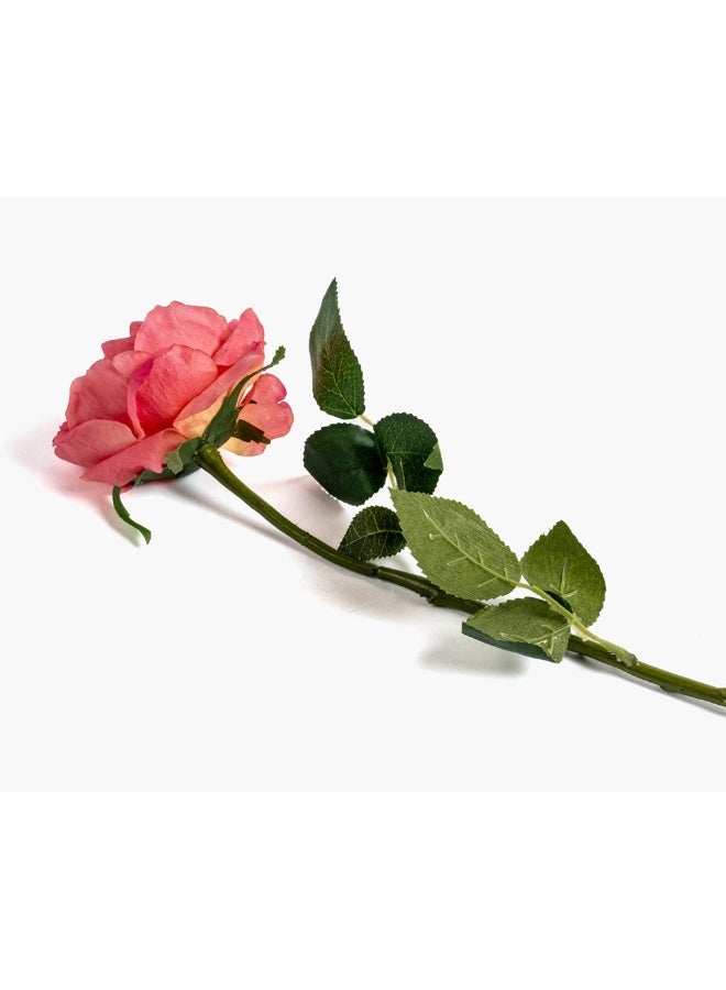 2XL Home Artificial Austin Flower 14X57Cm~Pk  - Image 3