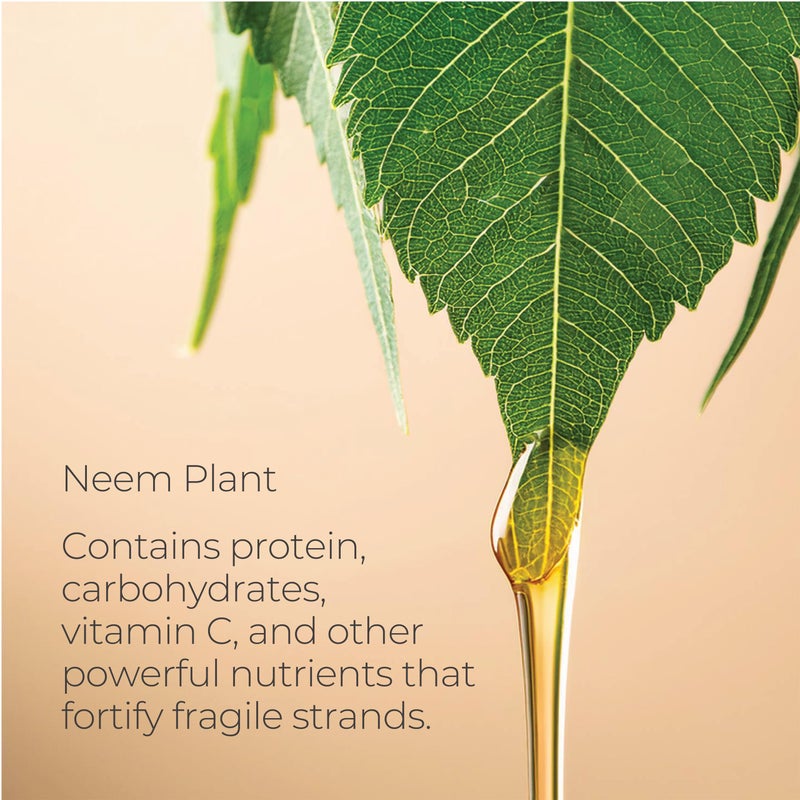 LANZA سيروم شعر لانسّا هيلينغ سترينغث من زيت النيم، علاج للشعر التالف ضد التجاعيد، يغذي، يقوي، يزيد اللمعان، يصلح ويمنع التكسر من الأطراف المتقصفة (3.4 أونصة سائلة) - Image 5