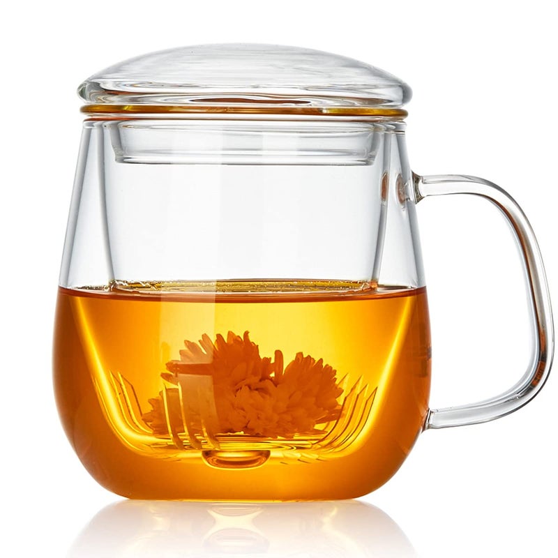 DOPUDO Glass Tea Cup with Infuser and Lid 176oz520ml Large Borosilicate TeacupTea Glass Clear Mug for Loose Leaf Tea Blooming Tea Microwave Dishwasher Safe Tea Maker Gift for Birthday
