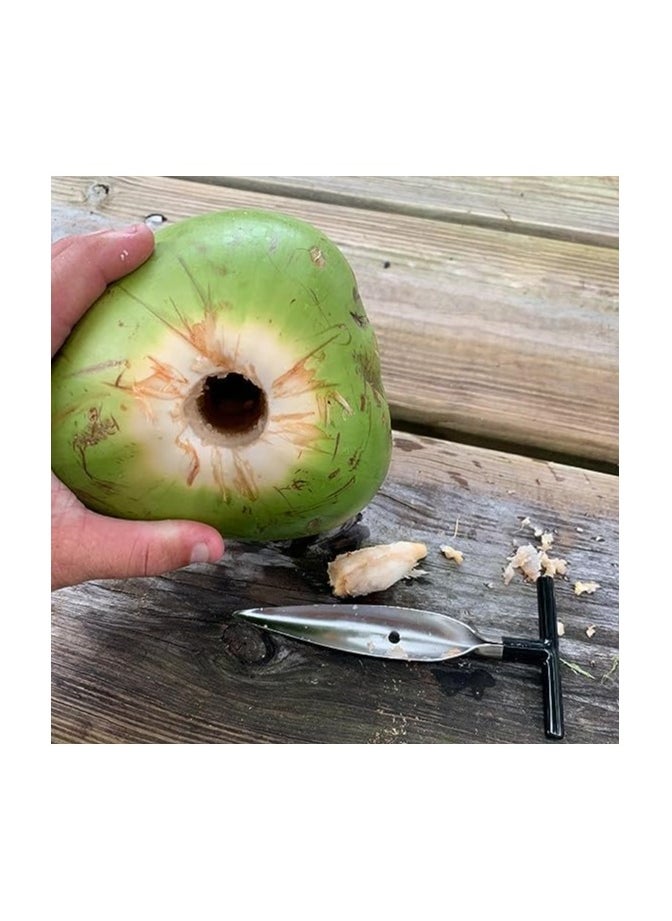 MIRFA Coconut Opener for Fresh Green Young Coconut Water and Peeled Thai Young White Coconuts  - Image 3