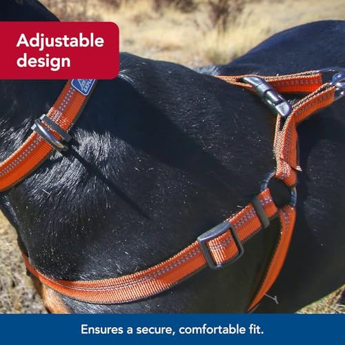 Coastal Pet K9 Explorer Reflective Adjustable Padded Dog Harness - Plush Chest Pad for Comfort - No-Pull Dog Harness for Small and Large Dogs - Campfire Orange - 1" x 20"-30", Medium - Image 4