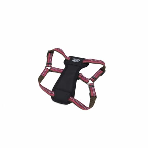 Coastal Pet K9 Explorer Reflective Adjustable Padded Dog Harness - Plush Chest Pad for Comfort - No-Pull Dog Harness for Small and Large Dogs - Campfire Orange - 1" x 20"-30", Medium - Image 1