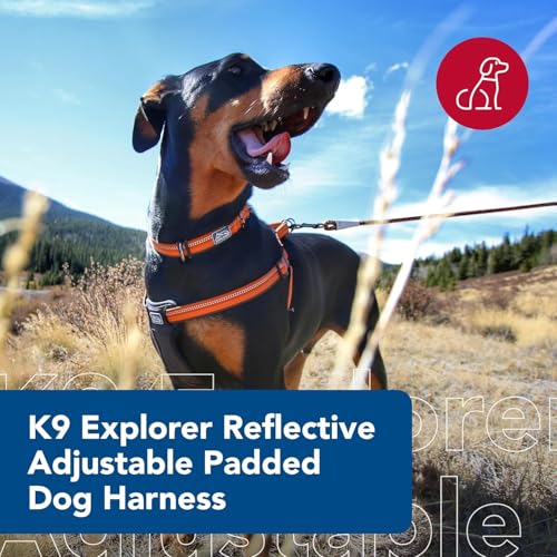 Coastal Pet K9 Explorer Reflective Adjustable Padded Dog Harness - Plush Chest Pad for Comfort - No-Pull Dog Harness for Small and Large Dogs - Campfire Orange - 1" x 20"-30", Medium - Image 2